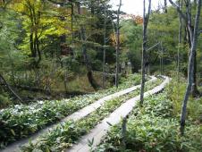gal/Do-Nichi Kippu/Nagano - Kamikochi/_thb_109_0928.jpg